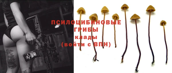первитин Алексеевка
