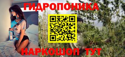 спиды Заводоуковск