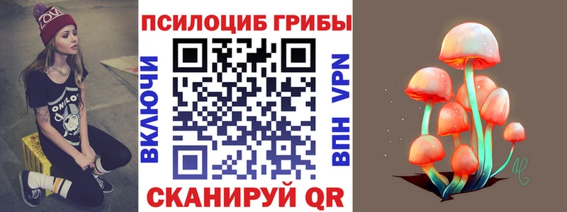 закладка  Ефремов  Галлюциногенные грибы мицелий 