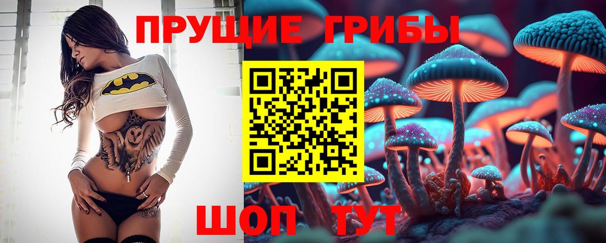 Галлюциногенные грибы Psilocybe  Вход с VPN  Галлюциногенные грибы ЛСД  хочу   Ефремов 